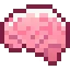 Brain